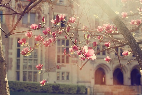 简短的英文谚语