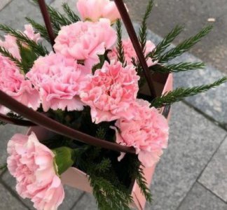 ​励志书籍好句子