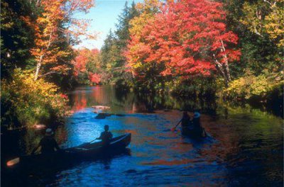 ​简短的励志的语句38条