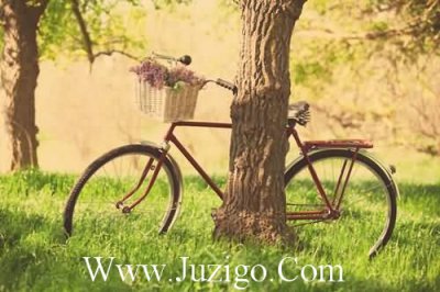 ​生日朋友圈语录生日励志语录(精选39句)