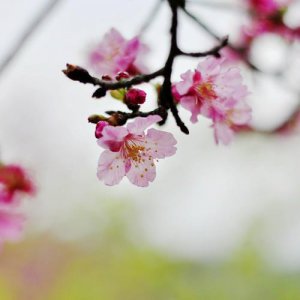 ​早安励志说说带图片