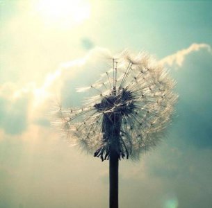 ​宝妈励志的句子短句 路很长的句子励志短句