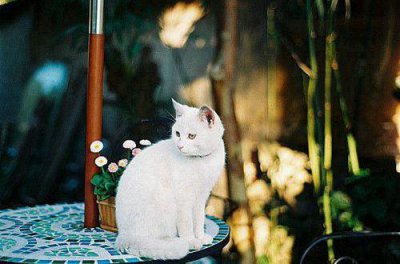 ​心情不好怎么发朋友圈 心情烦躁的朋友圈说说精选132句