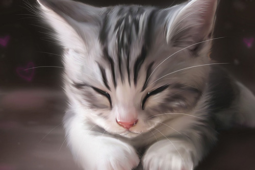 表白的话感人的段子80句