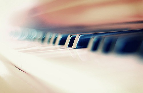 关于表白句子81句