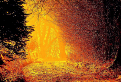 ​关于心寒对男人失望的句子 累了该结束了的说说