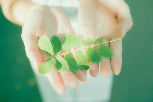 大格局有涵养的名句励志幽默的句子(70句)