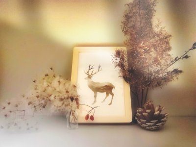 ​周末愉快的朋友圈句子 祝周末愉快最简单一句话