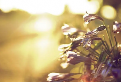 ​关于2024世界读书日文艺说说句子文案