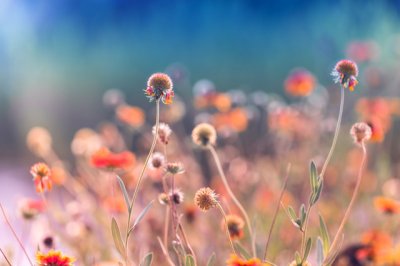 ​跟领导说早安的说说