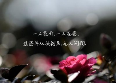 ​个人感情励志的句子（经典情感励志语录语句）