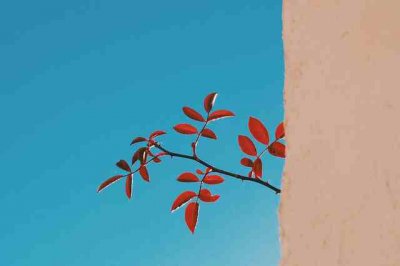 ​心情一句话语录（精选91句）