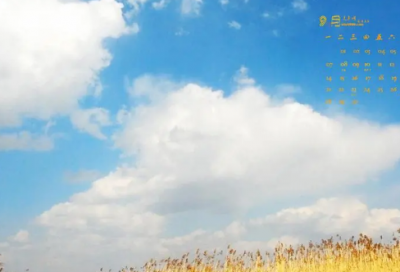 ​拍照赏花的心情朋友圈