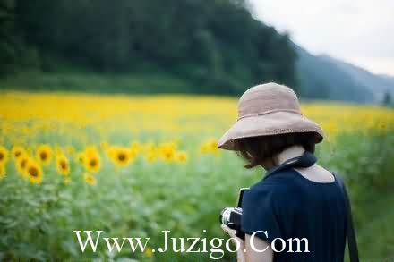 夏至说什么祝福语2023年 夏至祝福语(精选40句)