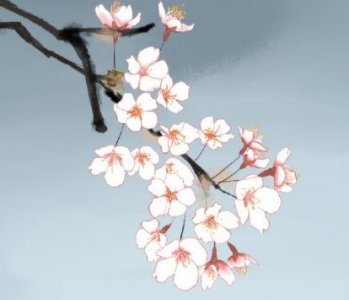 ​爱情抒情诗大全