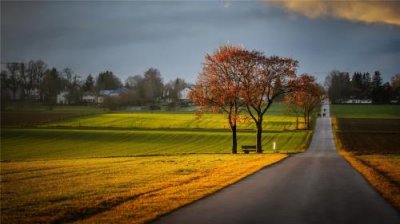 ​早安语(每日一句正能量早安)