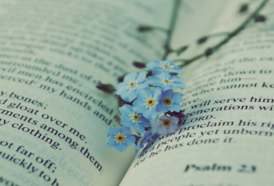 ​关于开车发朋友圈的句子(精选69句)