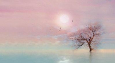 优美的美句 30个优美句子