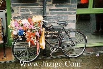 ​周末早安问候语简短正能量(精选27句)