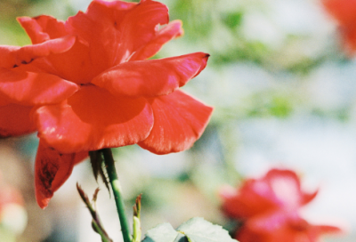 ​关于做一个安静的人的说说