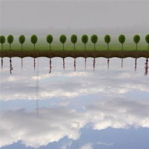 ​感慨人生经典句子（青年文摘经典语录）