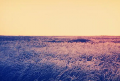 ​早安发朋友圈必点赞的句子