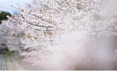 温暖文艺的爱情句子