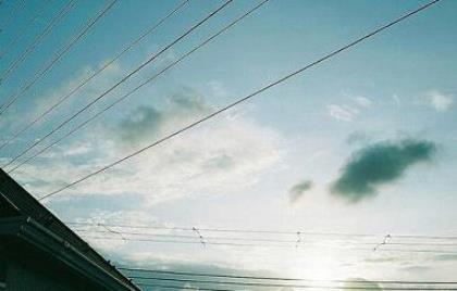 描写爱情美好的句子