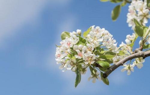 思念的句子「关于爱情」