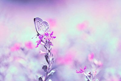 ​每天努力读书的励志英文文案(精选90句)