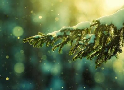 ​适合天气好发的朋友圈：晴天说说心情的句子