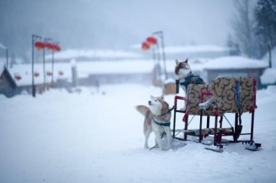 ​闺蜜生日留言暖心的话 写给闺蜜的话暖心