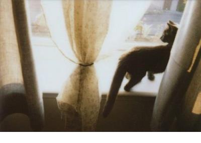 白敬亭语录经典语录励志