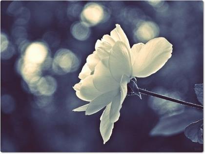 白敬亭语录经典语录励志