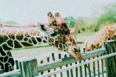 ​安慰鼓励朋友的话语