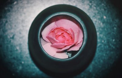 ​国庆节一段简短而深情的告白 国庆节一段感动到哭的表白