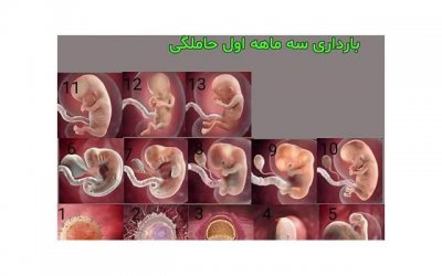 ​六个字的简短情话英语（6个字英语）