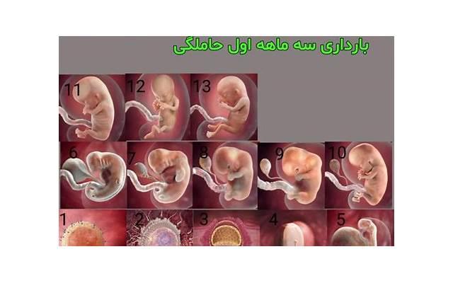 六个字的简短情话英语（6个字英语）