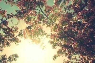 ​很暖心很有爱的句子 正能量暖心的句子