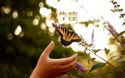 伤心的句子说说心情