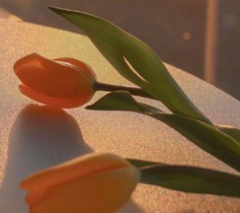 ​自我励志的经典语录