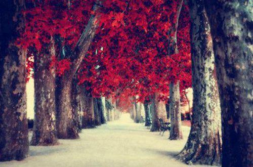 高考前给高考生的励志句子