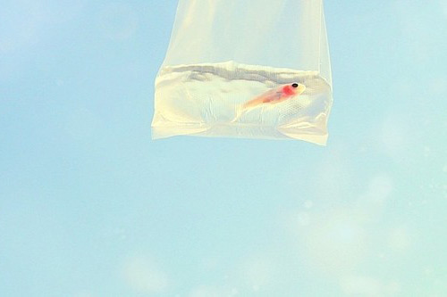 微商最爱的早安正能量语录(精选77句)