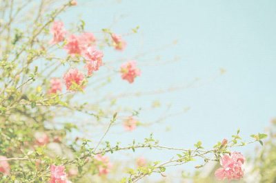 ​励志句子及感悟85句