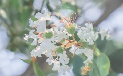 ​描述自己心情很差的文案(表达自己很累的文案)