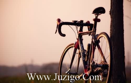 初三中考冲刺激励语押韵中考励志的句子(精选80句)