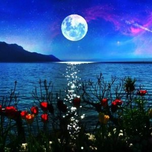 ​晚安的英文句子说说心情短语，很潮很走心，发朋友圈会与众不同！