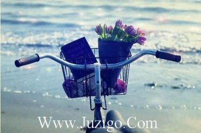 ​关于辞职的经典句子辞职后的心情经典句子(精选65句)