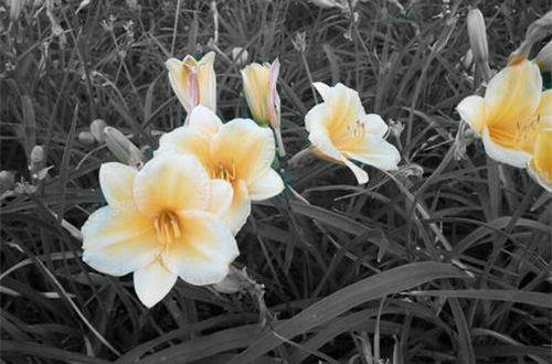 励志感悟句子摘录58条