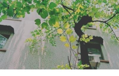 对一个人失望的句子